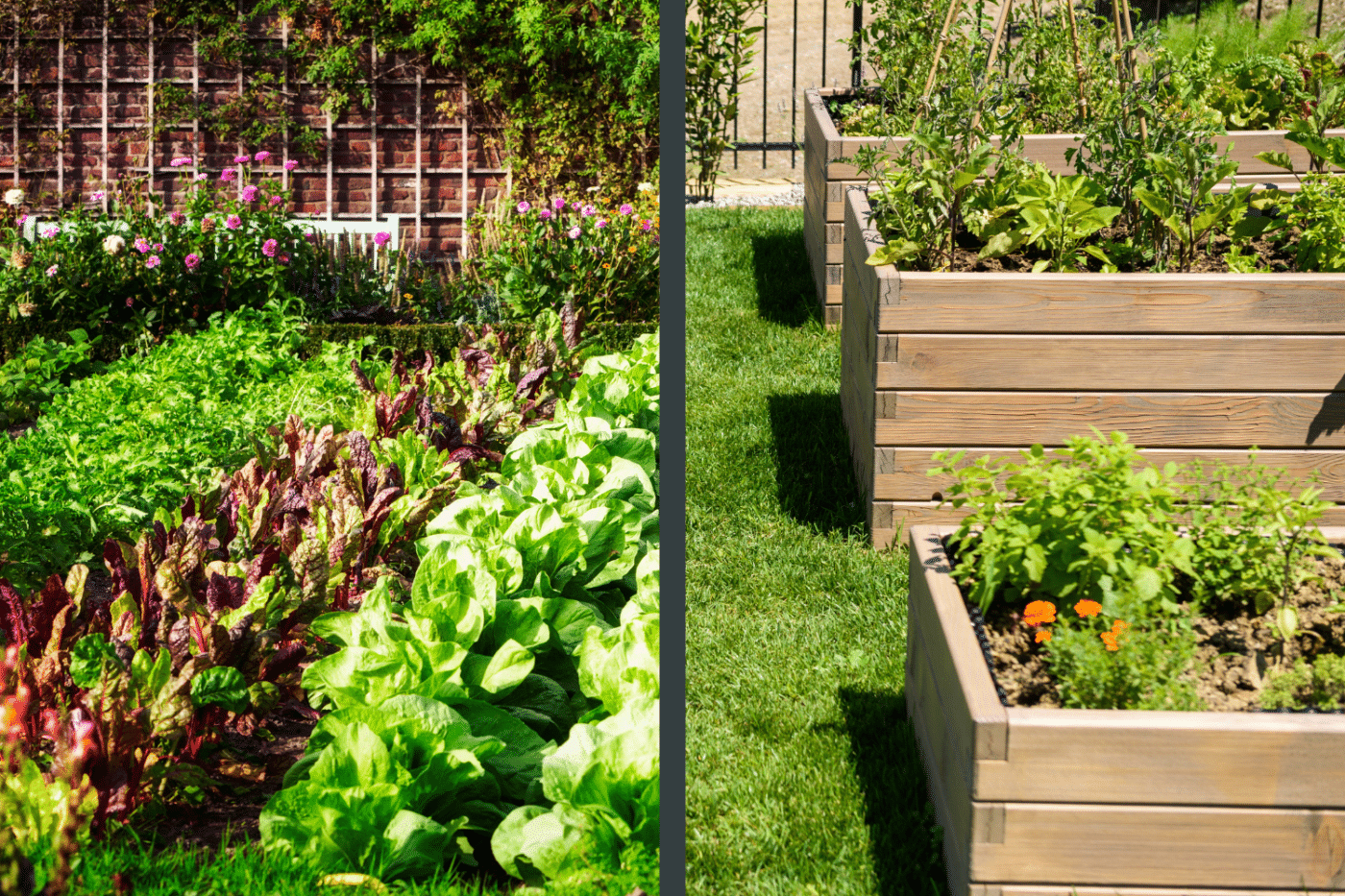 are raised garden beds better than gardens on the ground